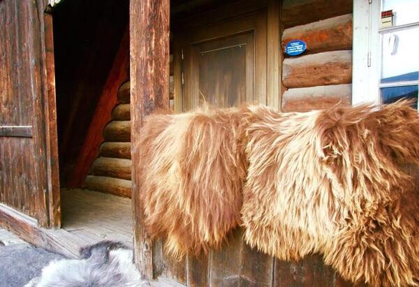 Spælsaueskinn fra Færøyene