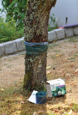 Limring 3m ikke relevant - Nelson Garden