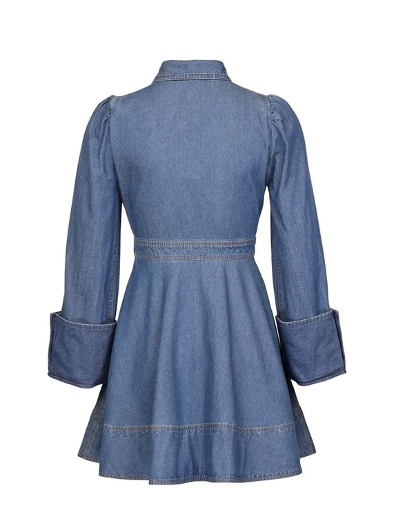 Denim Mini Dress