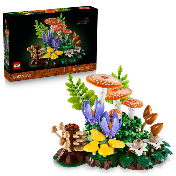  LEGO 11505 Skogsopp
