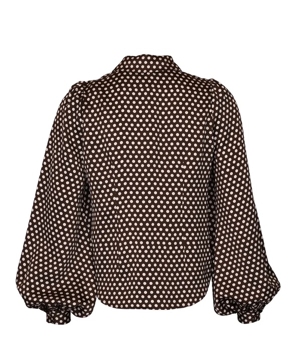 Satin Shirt