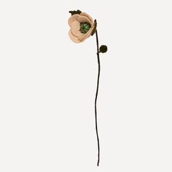 Ullfilt Poppy  Beige - UND Seasonal 