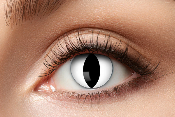 LENS 1 WEEK BLACK CAT W10