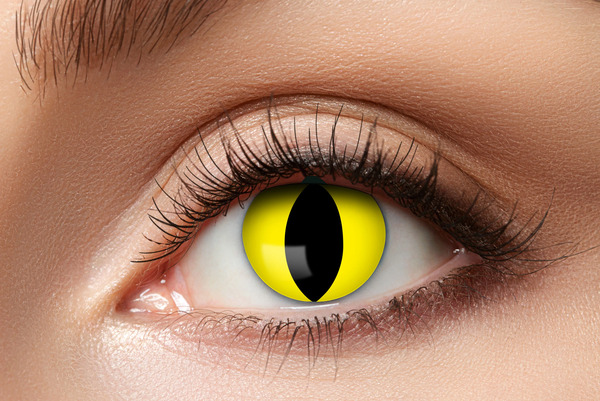LENS 1 WEEK YELLOW CAT W45