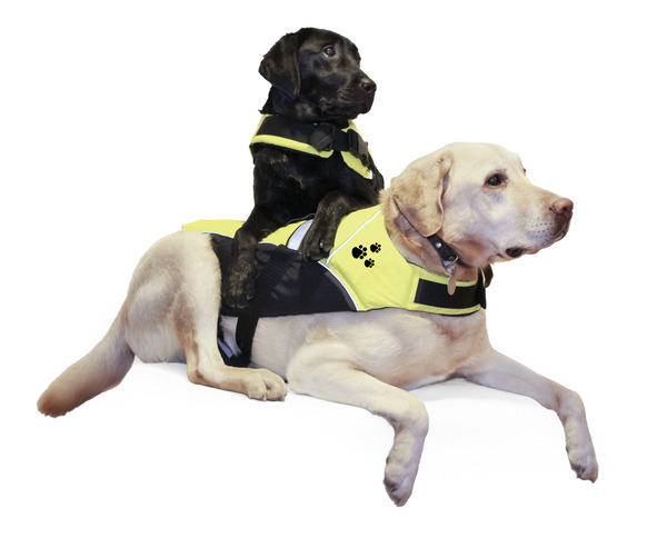 Regatta Pet vest