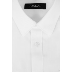 Pascal kortermet skjorte hvit Hvit - Pascal